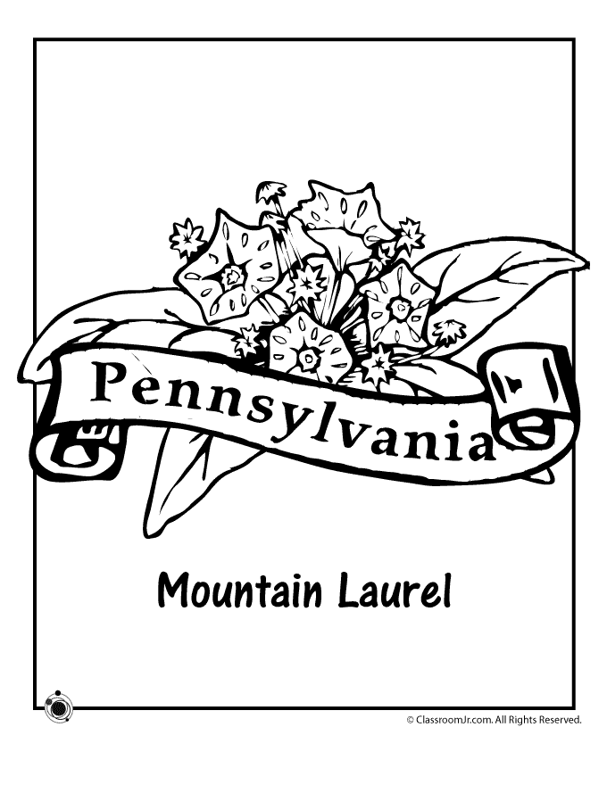 Pennsylvania state flower coloring page woo jr kids activities flower coloring pages coloring pages flag coloring pages