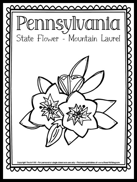 Pennsylvania state flower coloring page mountain laurel free printable â the art kit