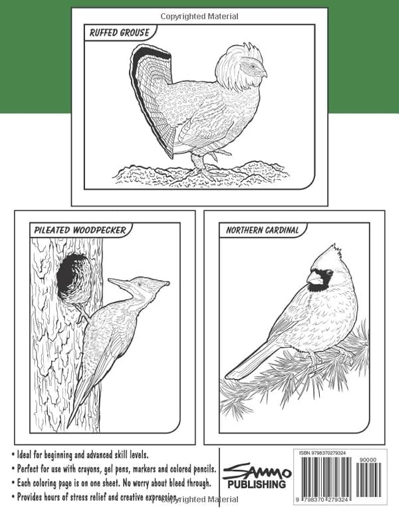 Birds of pennsylvania coloring book for kids teens adults a collection of mon unique birds of pennsylvania for bird watchers to identify and color morrison sam books