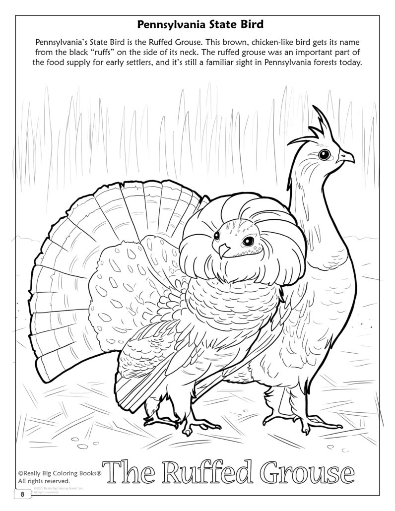 Pennsylvania state coloring book x