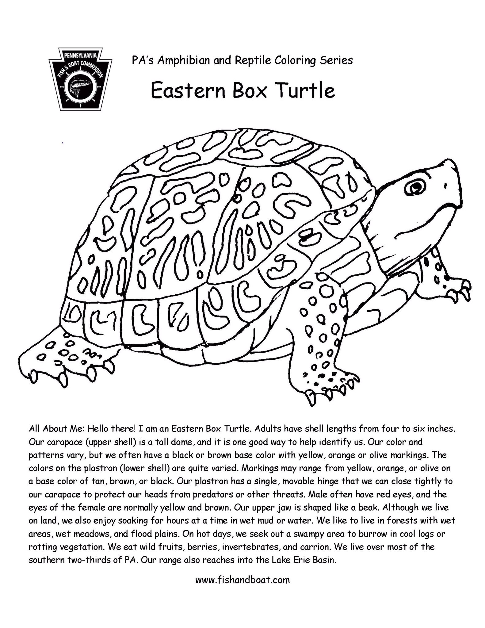 Pennsylvania fish and boat mission on x this weeks amphibian and reptile coloring pages are all boxed up and ready for you jump on over to the se region report page for