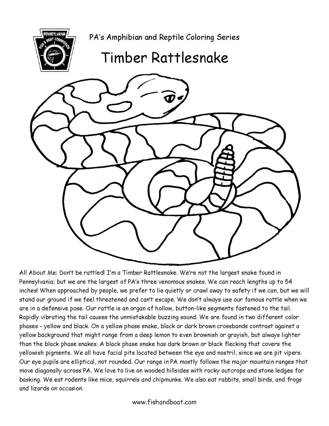 Pennsylvania fish and boat mission on x timber the next two coloring pages have dropped here are this weeks releases for the amphibian and reptile coloring page series if this format isnt