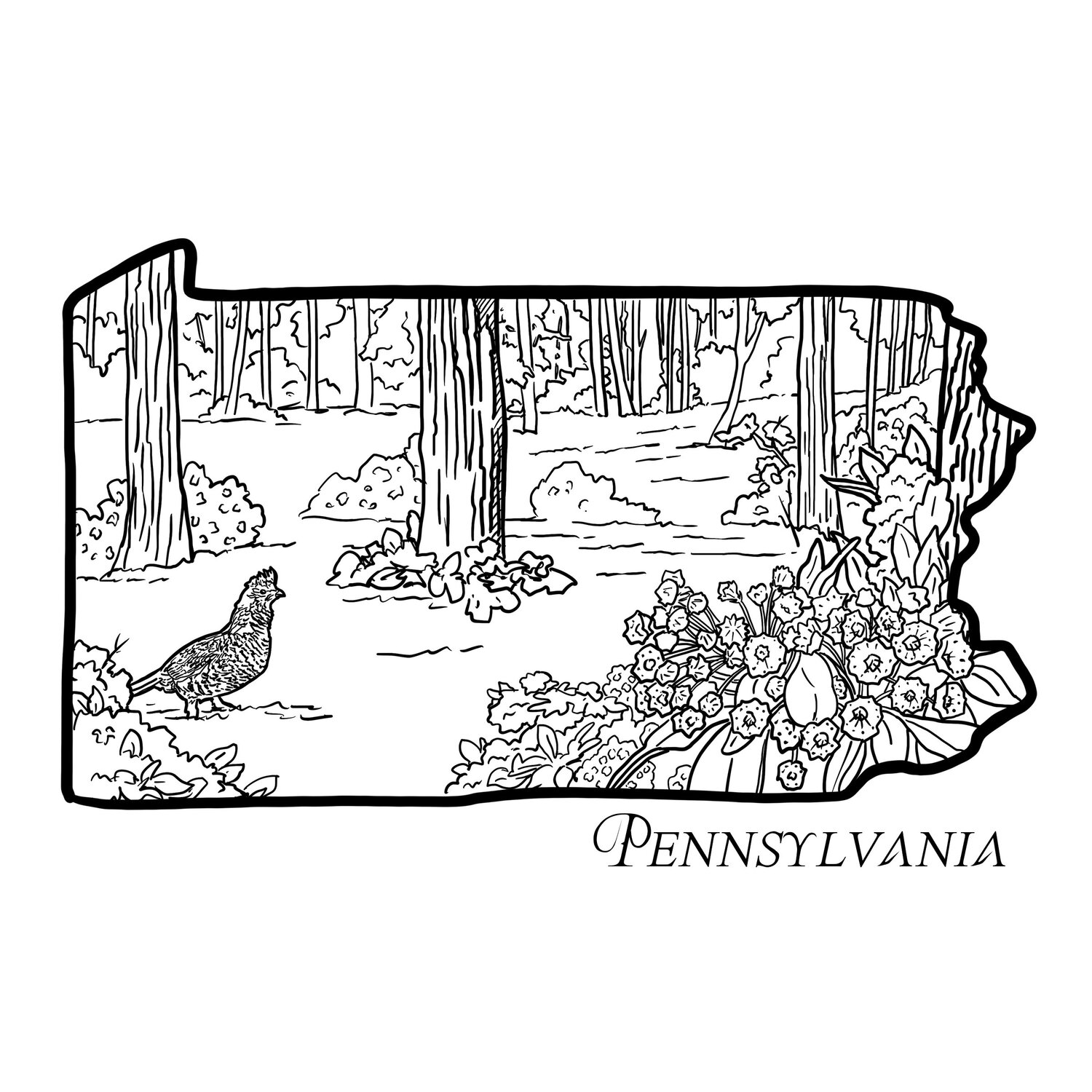 Pennsylvania â corvidae drawings designs