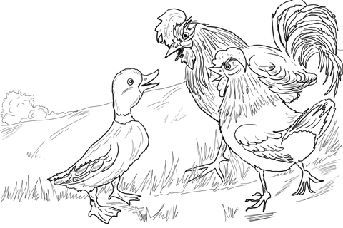 Henny penny coloring pages free coloring pages