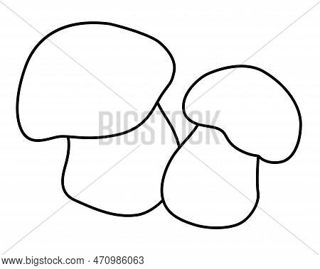 Penny bun mushrooms vector photo free trial bigstock