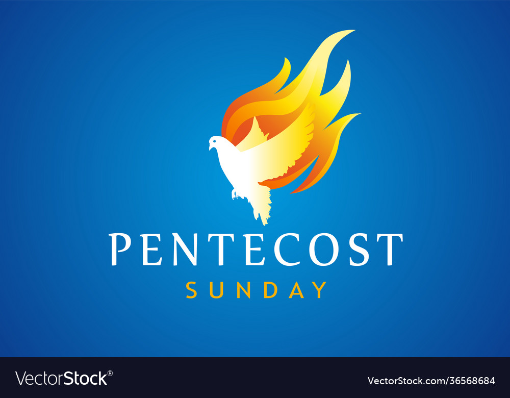 Pentecost sunday dove in flame banner royalty free vector