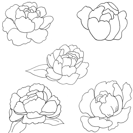 Peony patterns peony coloring pages just paint it blog http