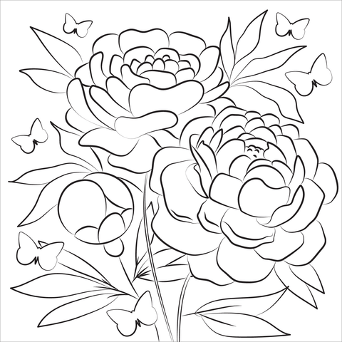 Peonies coloring page free printable coloring pages