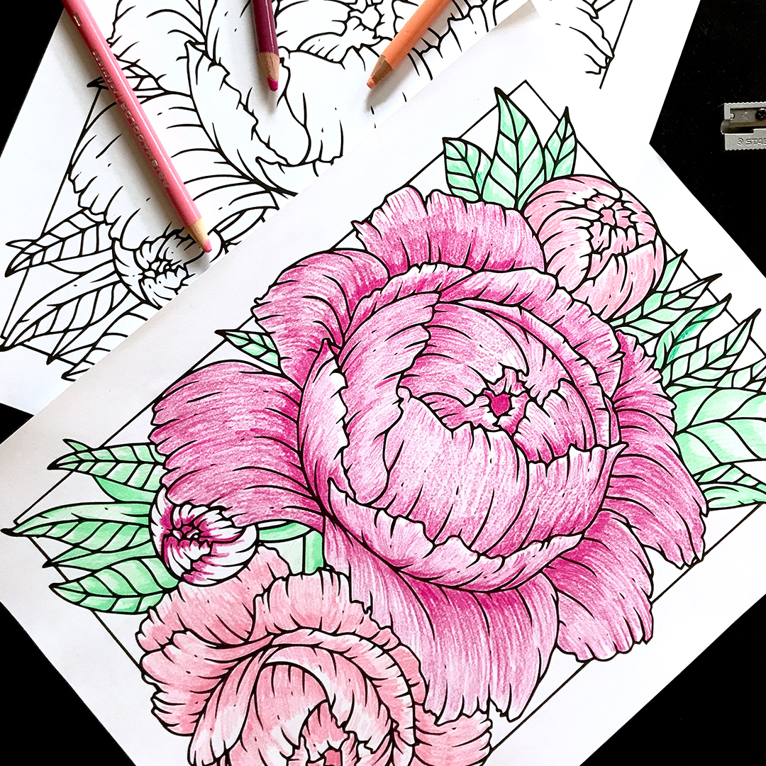 Free downloadable coloring page of illustrated peonies boelter design co