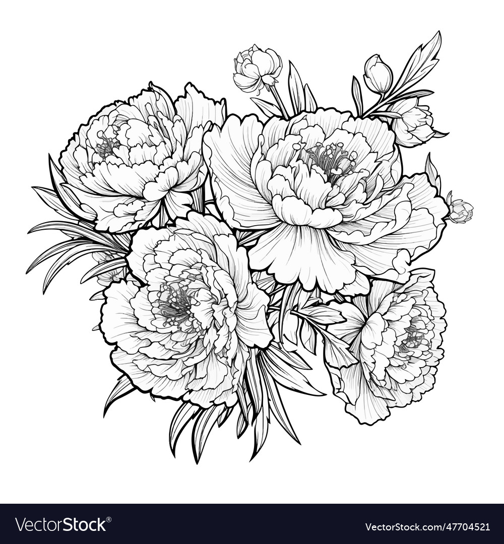 Coloring page with peonies and leaves royalty free vector