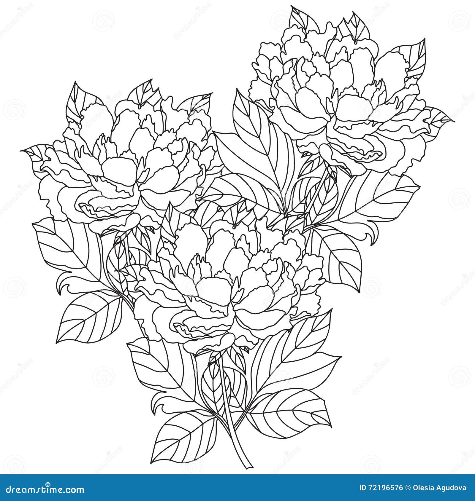 Peony bouquet vector coloring book page for adults hand drawn artwork stock vector