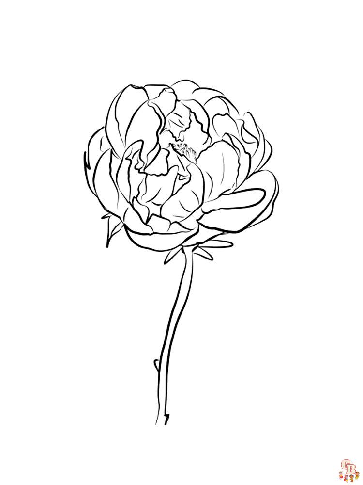 Peonies coloring pages free and easy printable