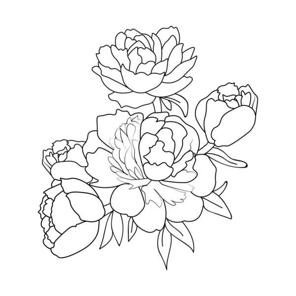 Peony flower coloring books monochrome vector floral botanical garden flowers stock vector by saminaakter