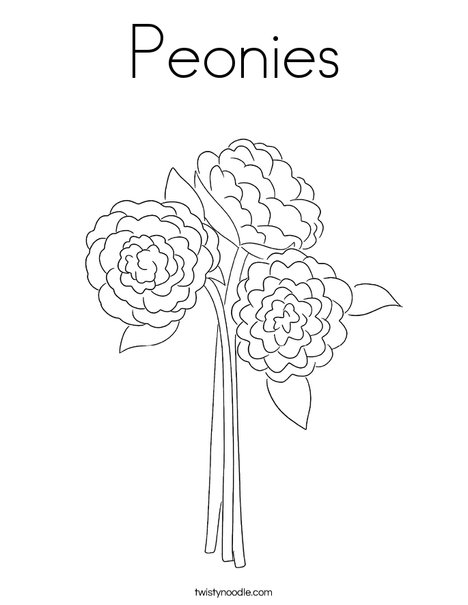 Peonies coloring page