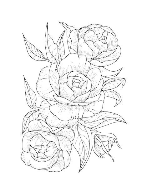 Premium vector three blooming peonies with a bud and leaves vector coloring book pages antistress for adults and children f