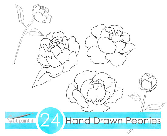 Peony patterns peony coloring pages