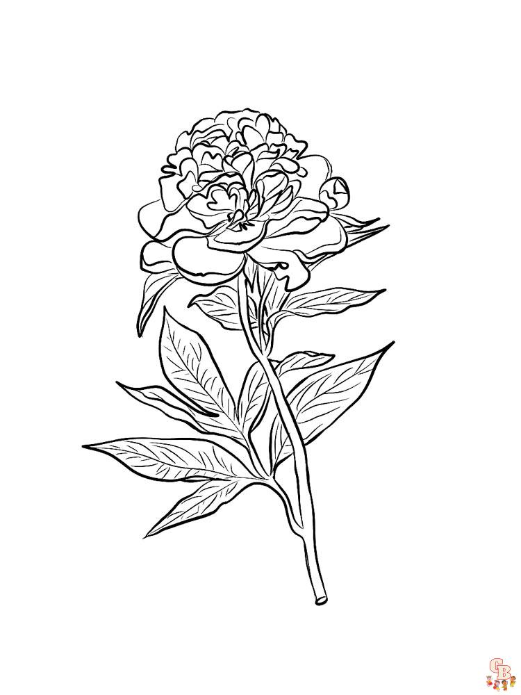 Peonies coloring pages free and easy printable