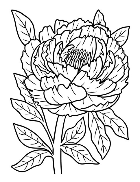 Premium vector peony flower coloring page for adults