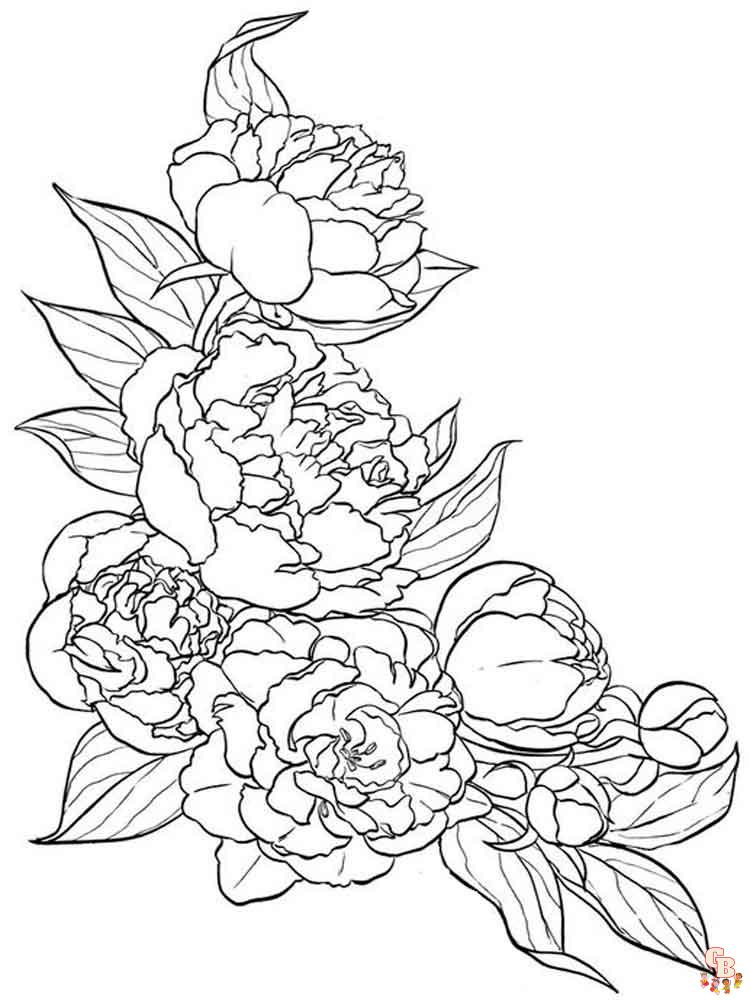 Peonies coloring pages free and easy printable