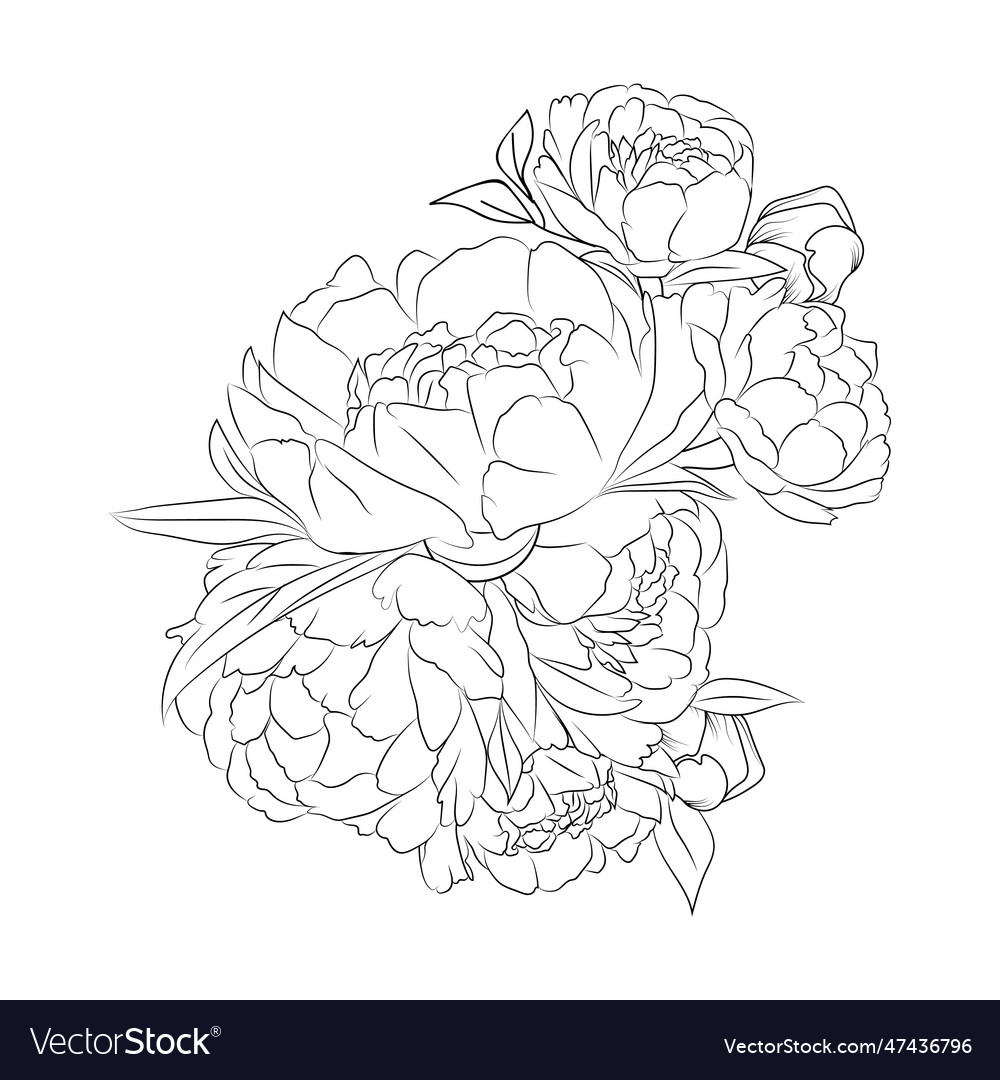 Easy peony flower coloring pages for kid and adult