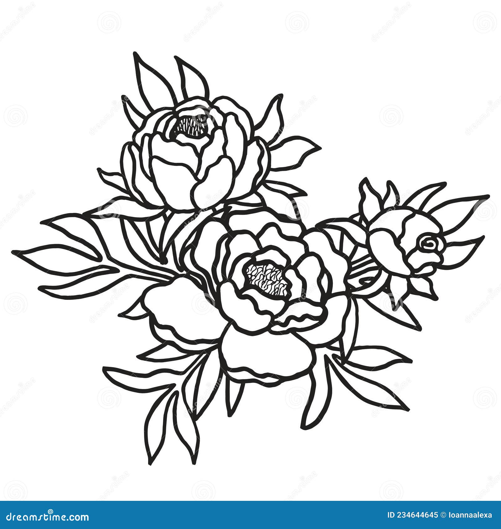 Black and white outline drawing of a bouquet of peonies for coloring page stock vector