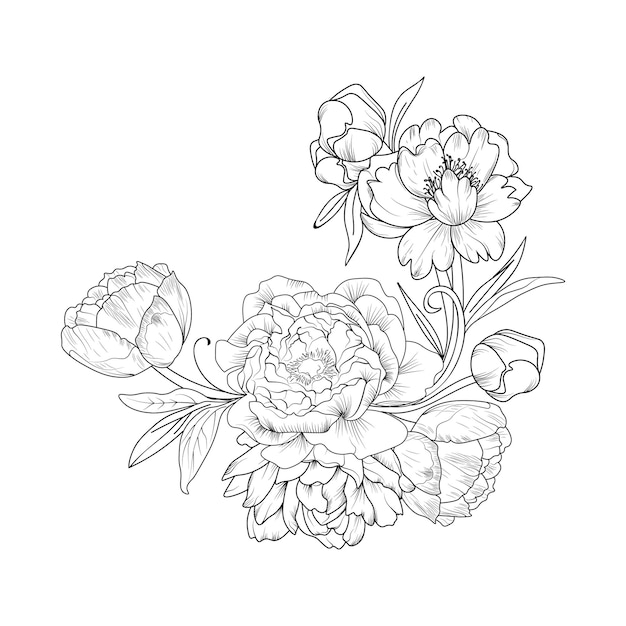 Premium vector silhouettes of wildflowers from simple lines arts peony on a white background design coloring book