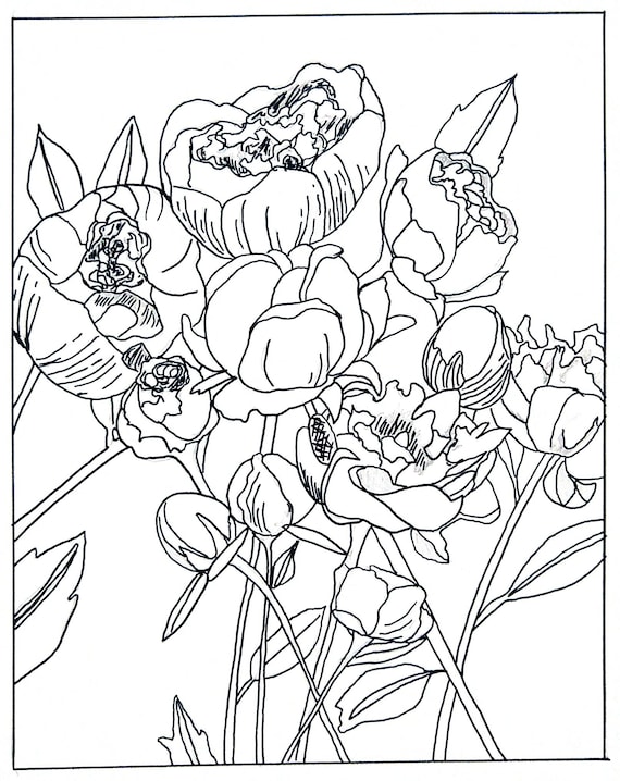 Peony coloring page