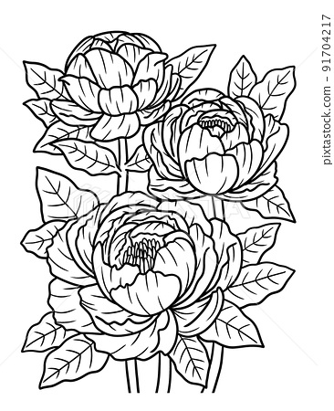 Peonies flower coloring page for adults