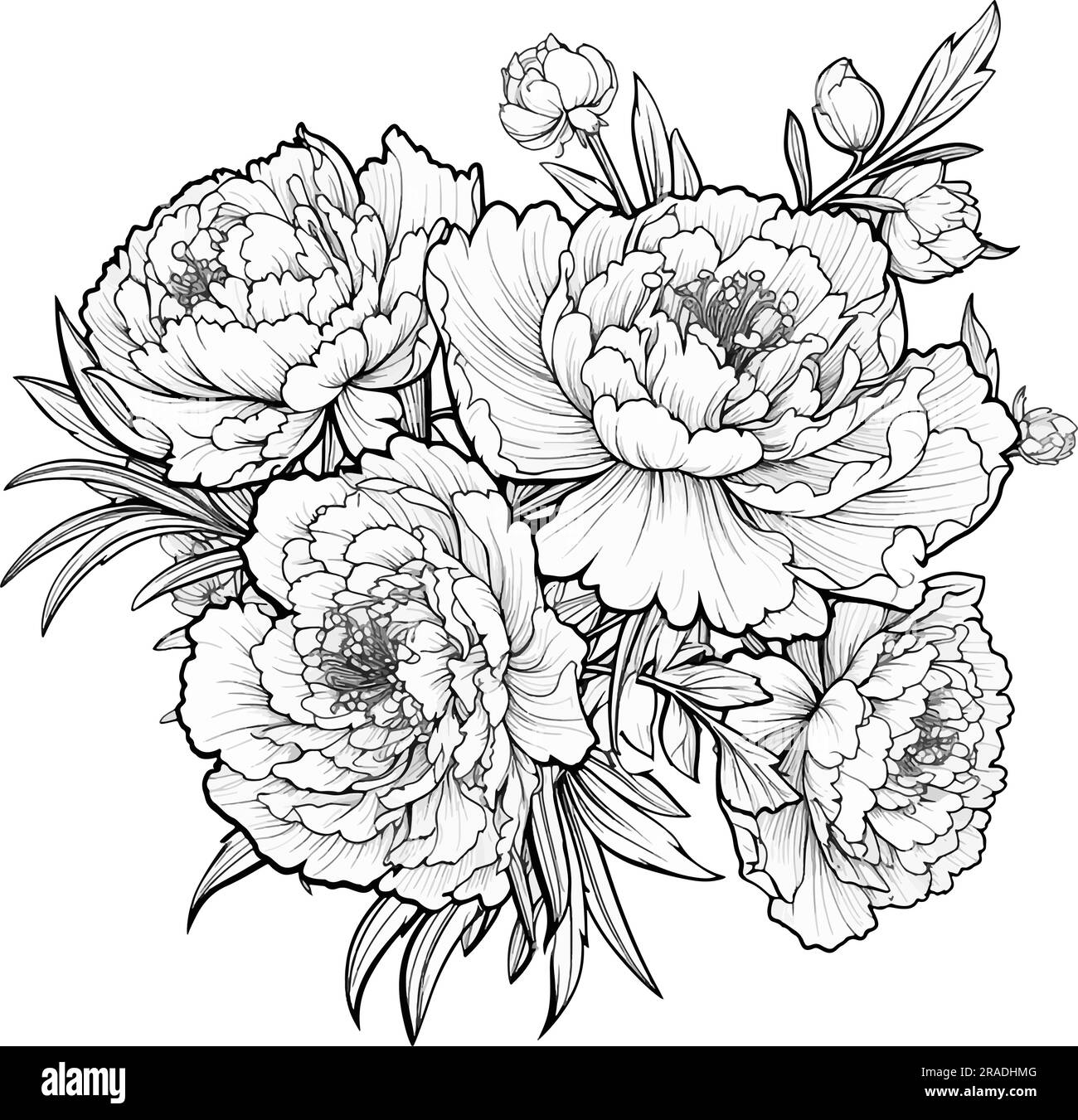 Coloring page with peonies and leaves vector page for coloring flower colouring page floral print outline peonies black and white page for stock vector image art