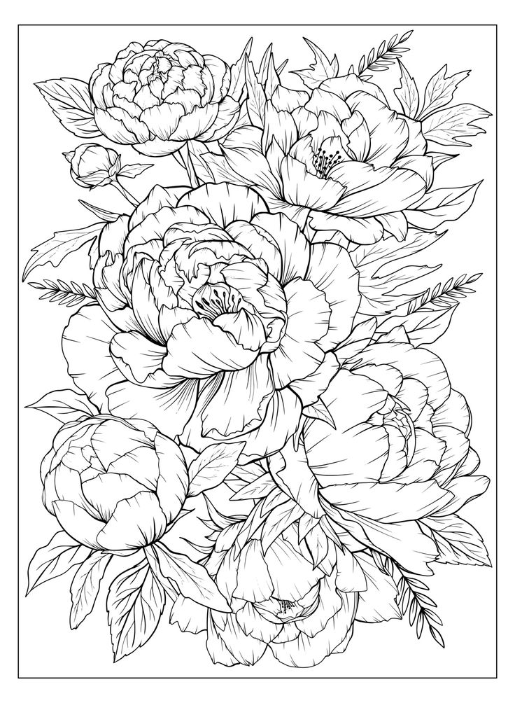 Download the coloring page with peonies and leaves vector page for coloring flower colouring page floral prâ flower art drawing peony drawing flower sketches