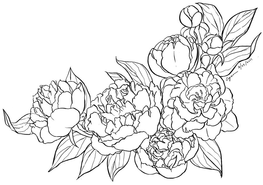 Peony lineart by cyen on