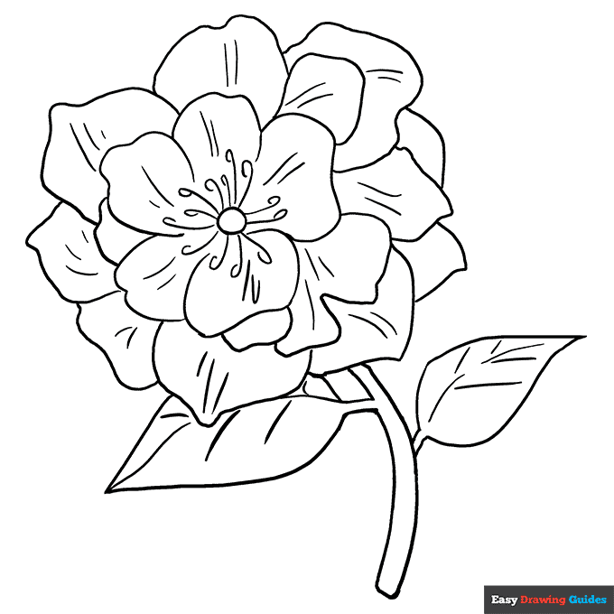Peony coloring page easy drawing guides