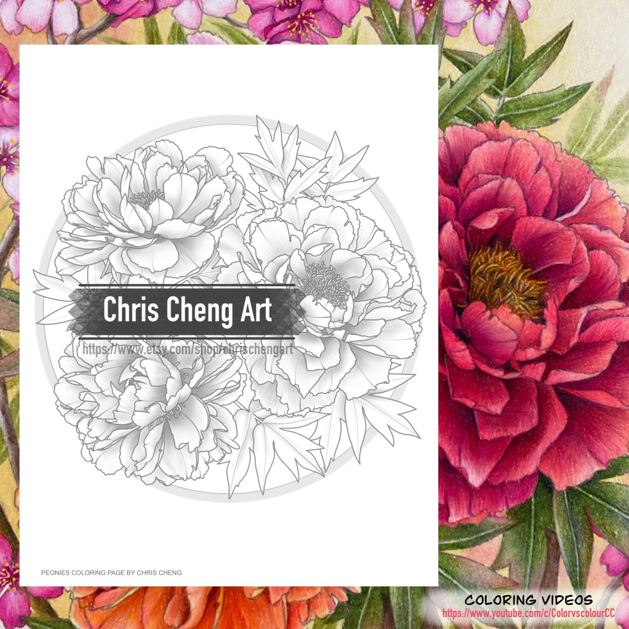 Set of coloring pages peonies instant download printable files pdf