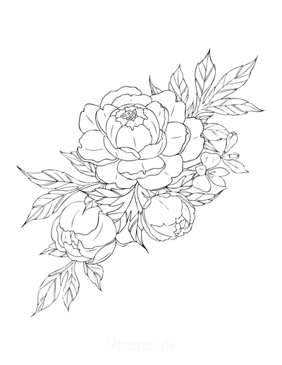 Free flower coloring pages for kids adults flower art drawing beautiful flower drawings flower coloring pages