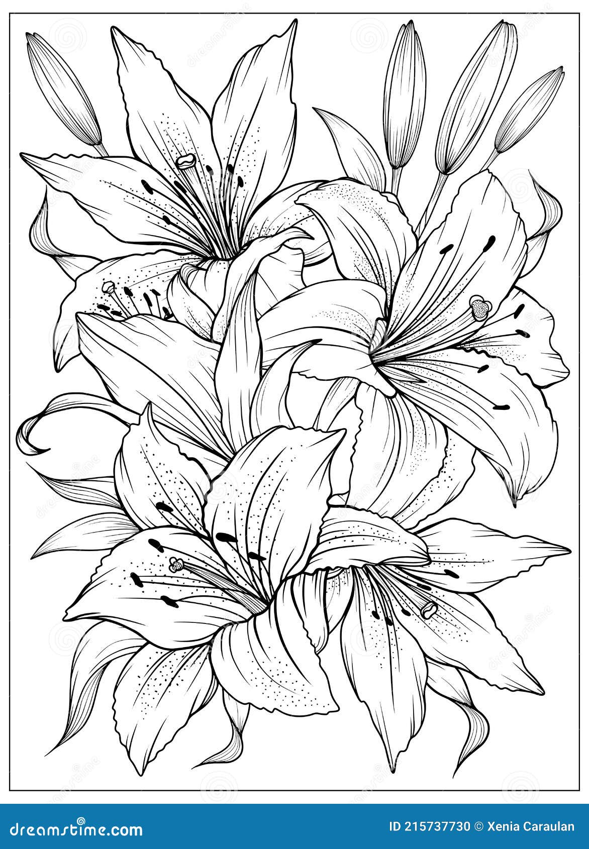 Coloring page with lilies and leaves vector page for coloring flower colouring page outline lilies stock vector