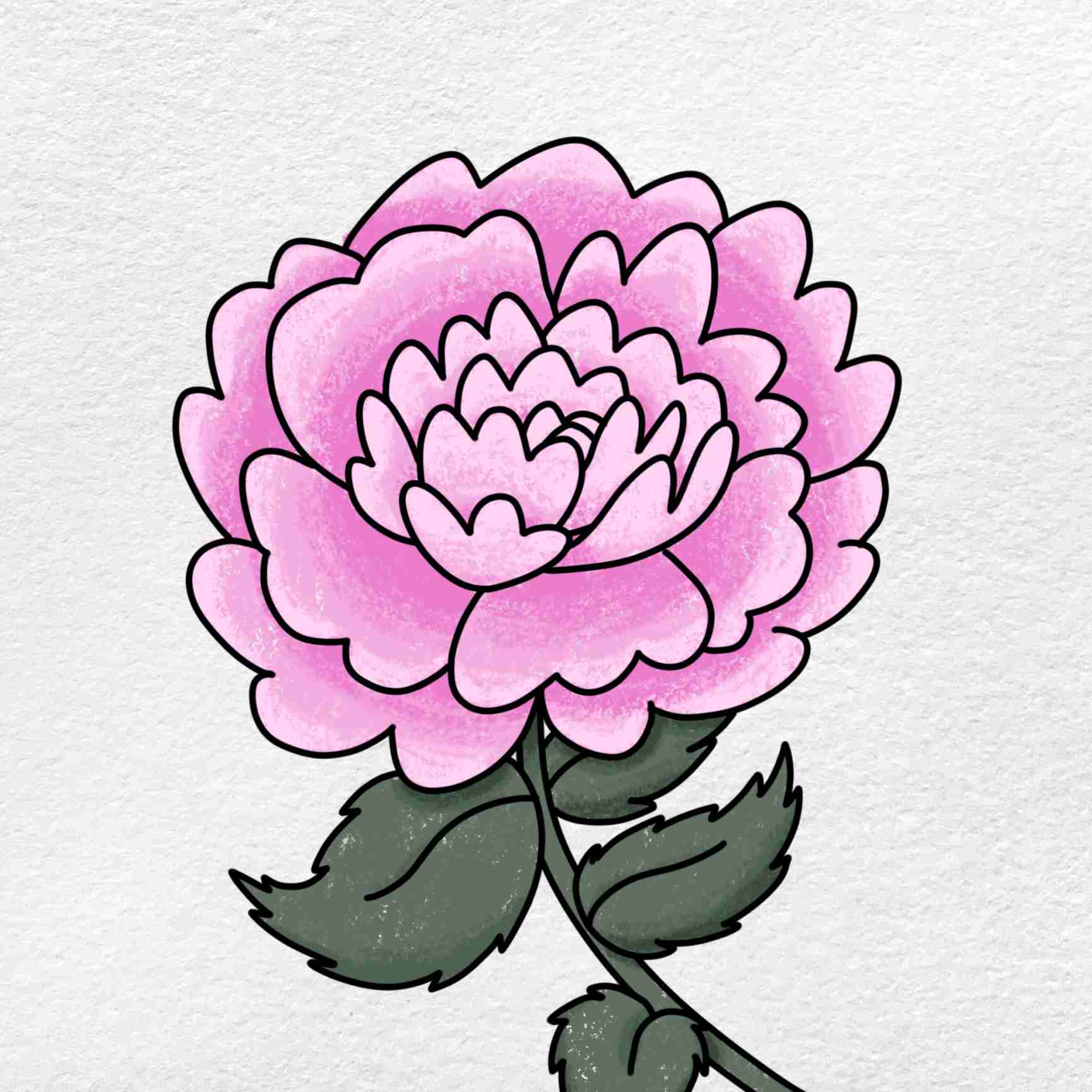 How to draw a peony