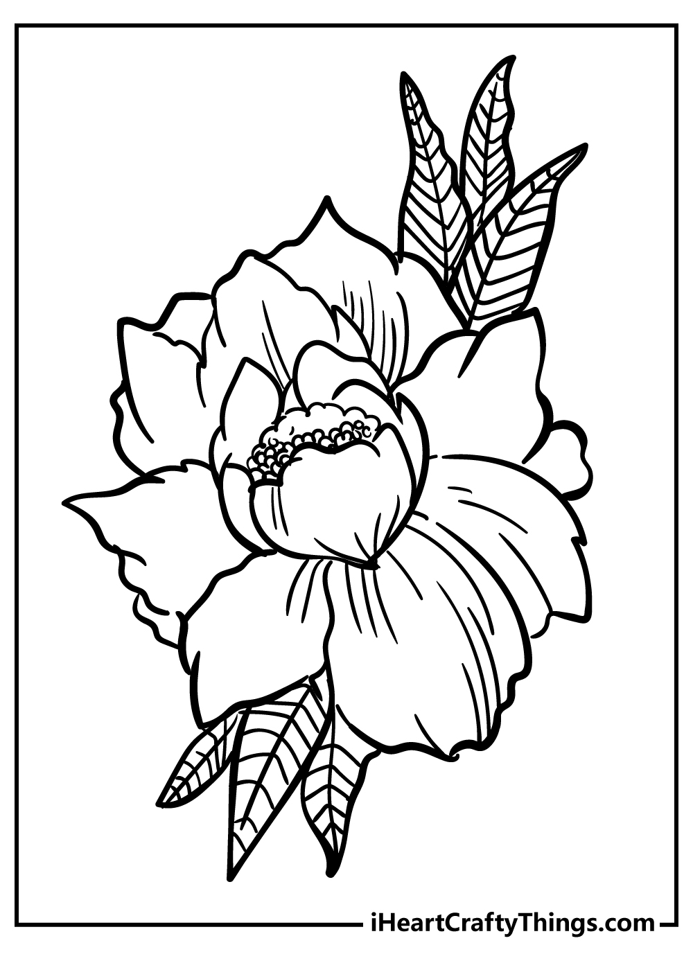 Flower coloring pages free printables