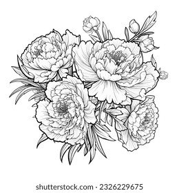 Peonies coloring page images stock photos d objects vectors