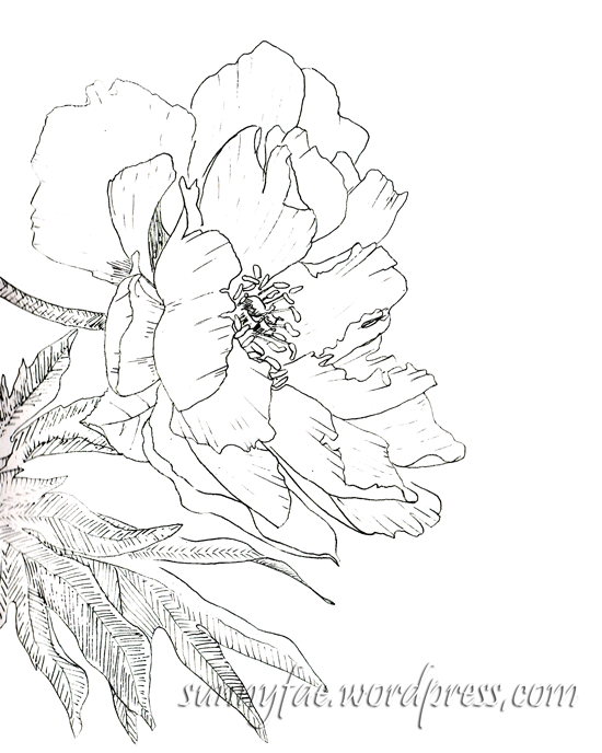 Peonies â