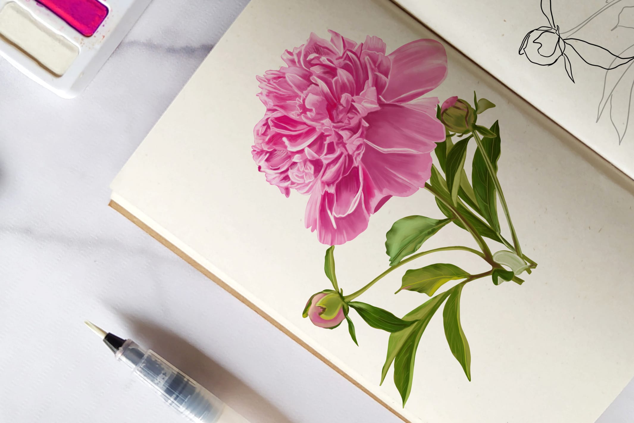 How to draw a peony