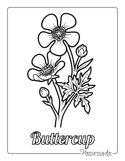 Free flower coloring pages for kids adults