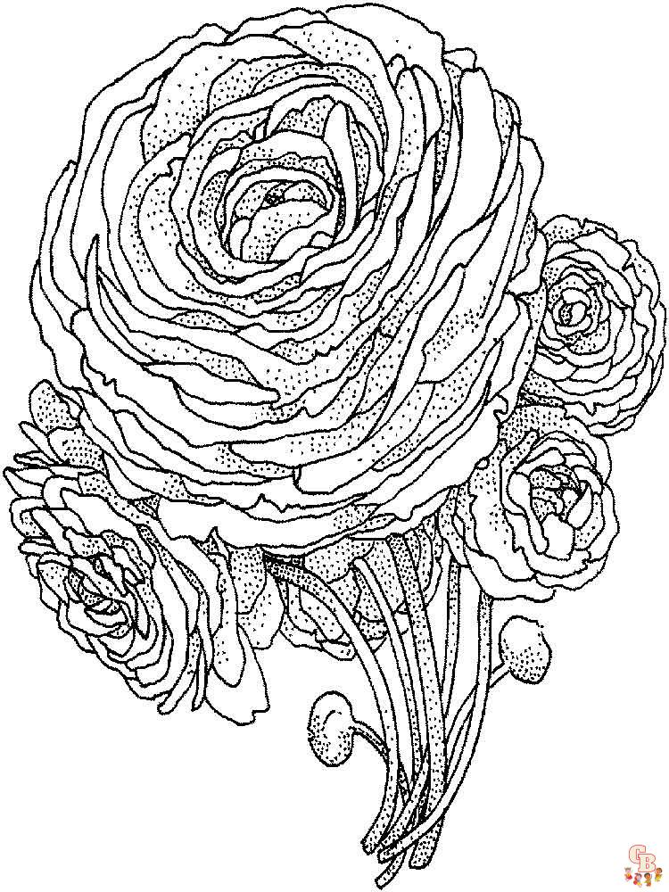 Peonies coloring pages free and easy printable