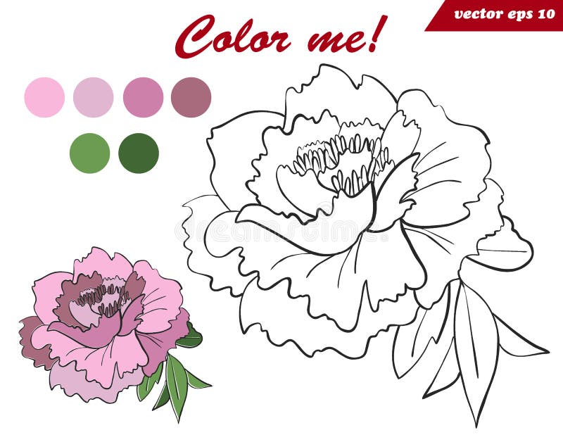 Coloring book page for children and adults with peony flower stock vector