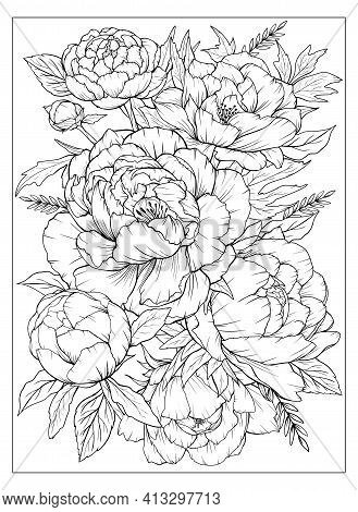 Coloring page peonies vector photo free trial bigstock