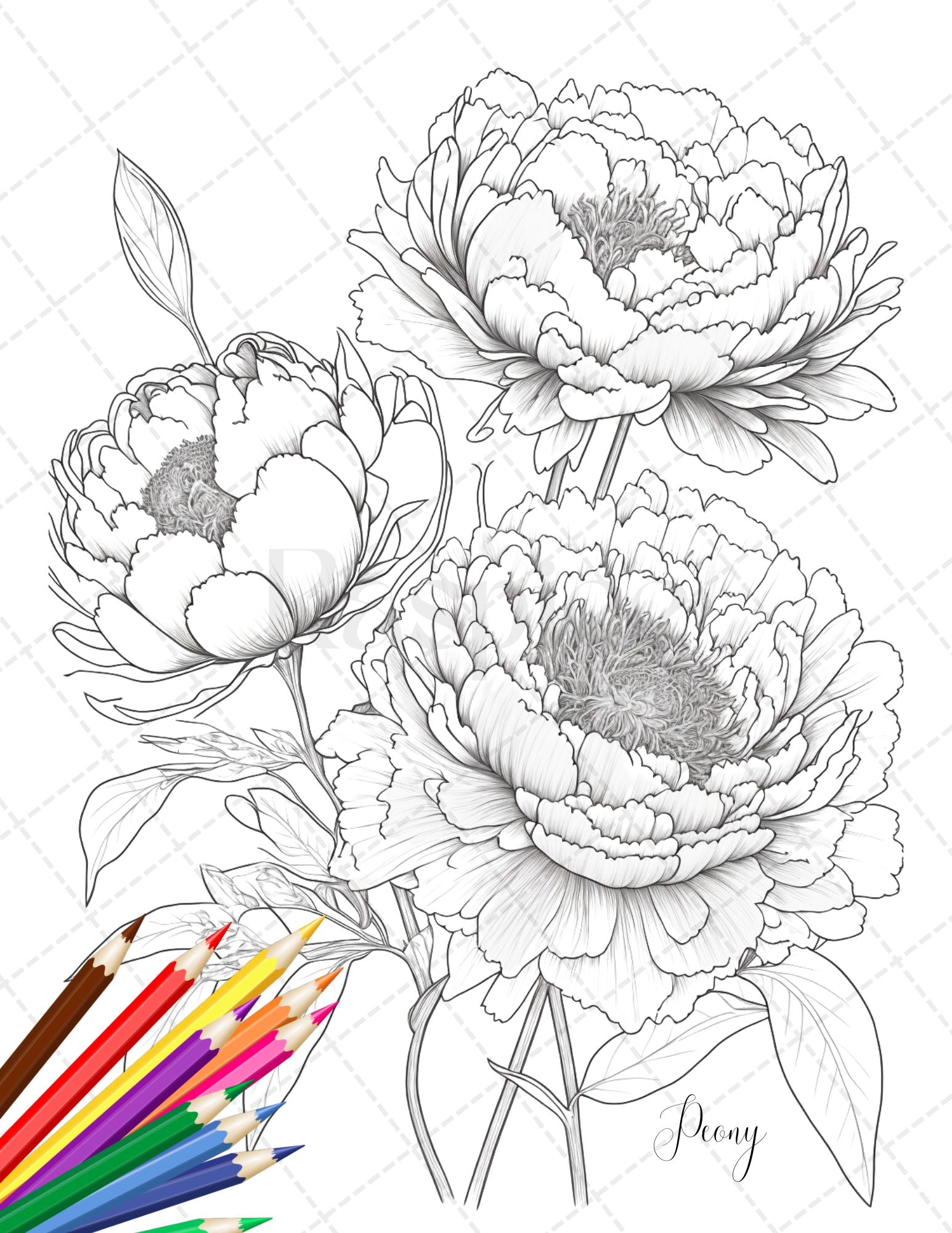 Botanical flowers printable coloring pages for adults floral grays â coloring