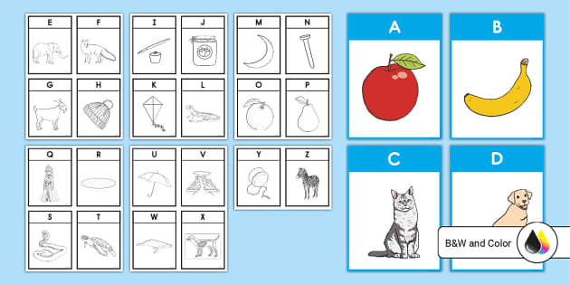 Alphabet letter and picture flash cards teacher