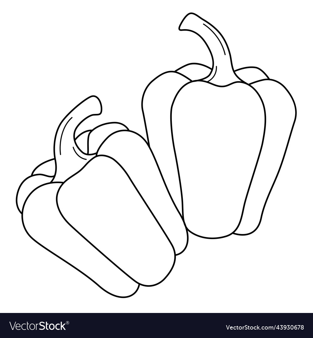 Bell pepper fruit isolated coloring page for kids vector image