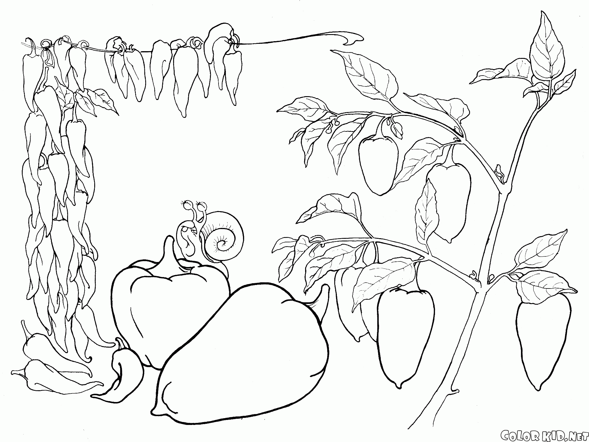 Coloring page