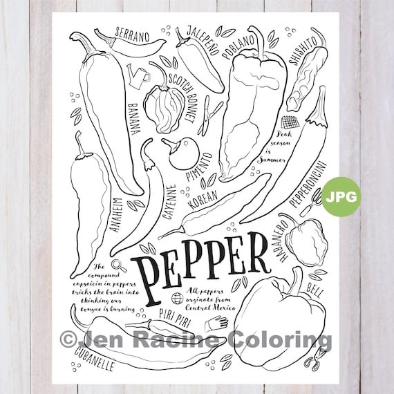 Pepper coloring page vegetable coloring page garden gardening homegrown vegetable coloring pages