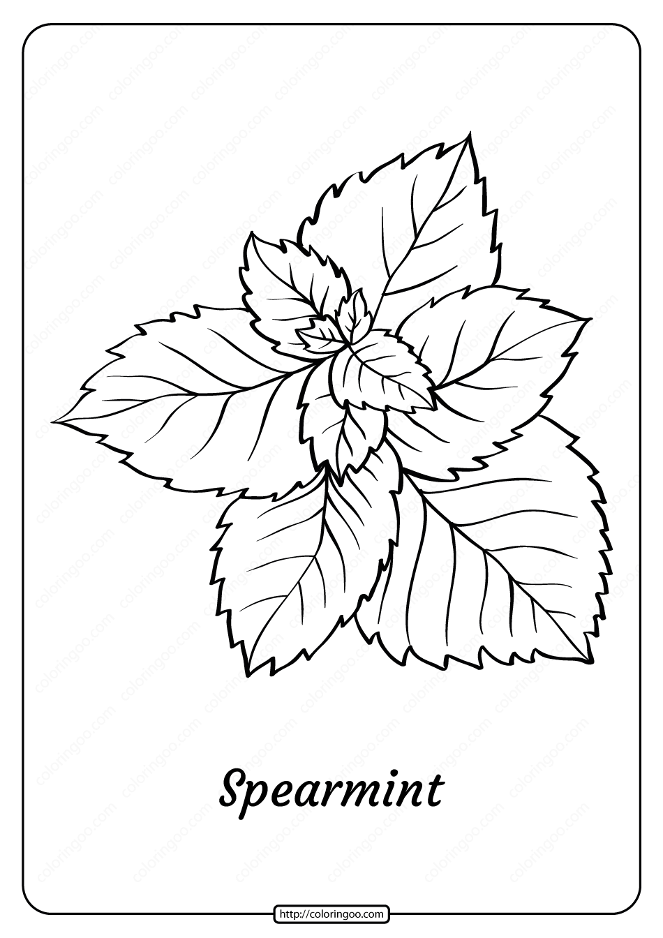 Free printable spearmint outline coloring page coloring pages apple outline free coloring pages